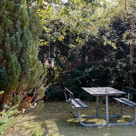 In 'schubben,' An Idyllic Garden *